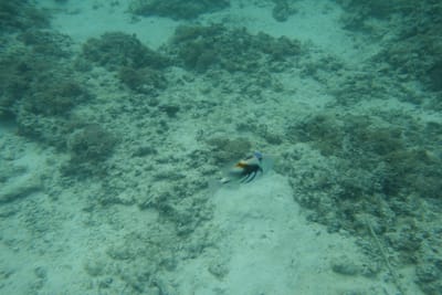 DSC04255.JPG