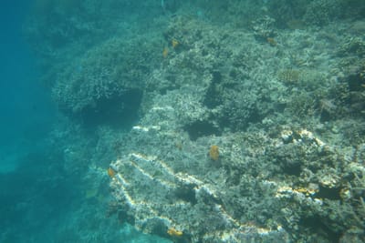 DSC04302.JPG