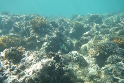 DSC04314.JPG