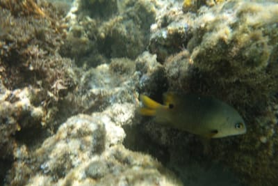 DSC04317.JPG