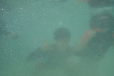 DSC04334.JPG