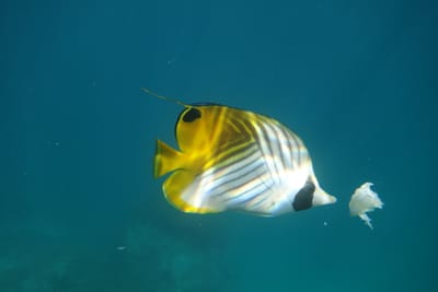 DSC04386.JPG