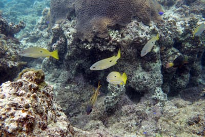 eDSC03892.jpg