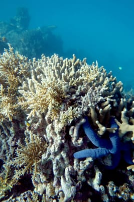 eDSC04220.jpg