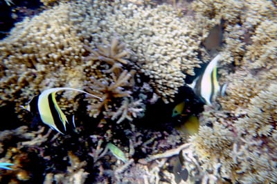 eDSC04226.jpg