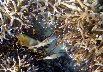 eDSC04238.jpg