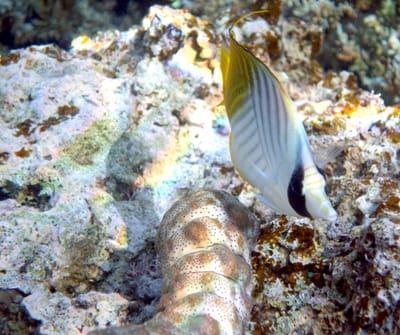 eDSC04243.jpg
