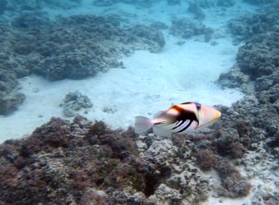 eDSC04258.jpg