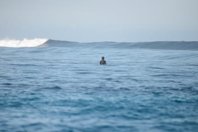 DSC_9499.JPG
