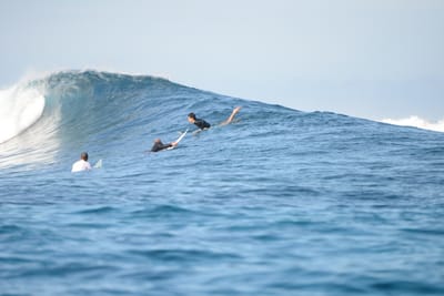 DSC_9509.JPG