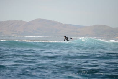 DSC_9545.JPG