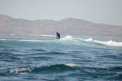 DSC_9546.JPG