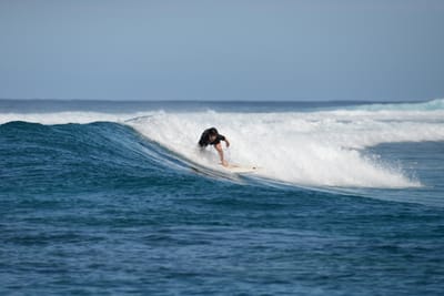 DSC_9650.JPG