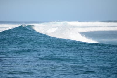 DSC_9651.JPG