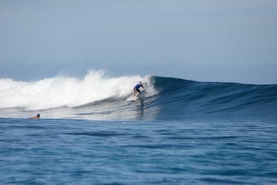 DSC_9516.JPG