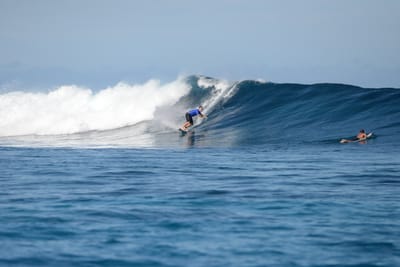 DSC_9519.JPG