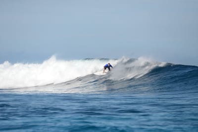 DSC_9524.JPG