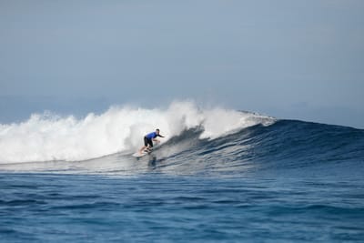DSC_9526.JPG