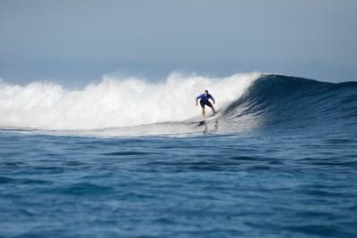 DSC_9528.JPG