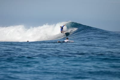DSC_9536.JPG