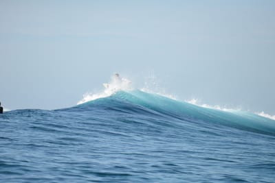 DSC_9539.JPG