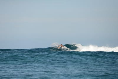 DSC_9561.JPG
