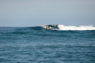 DSC_9562.JPG