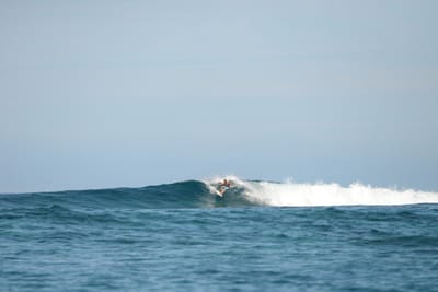 DSC_9564.JPG