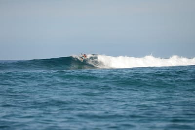 DSC_9565.JPG