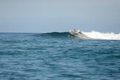 DSC_9566.JPG