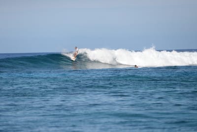 DSC_9567.JPG