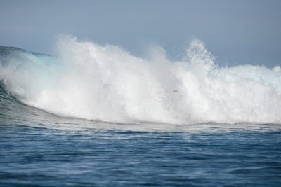 DSC_9582.JPG