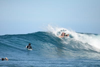 DSC_9681.JPG