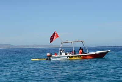 DSC_9702.JPG