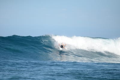 DSC_9703.JPG