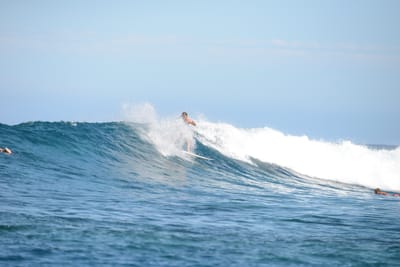 DSC_9717.JPG