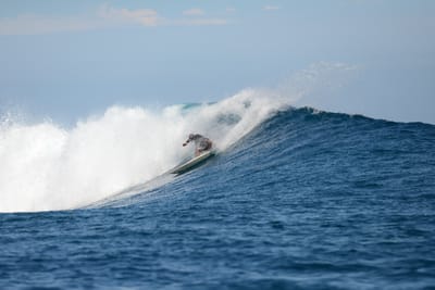 DSC_9764.JPG