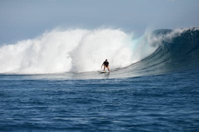 DSC_9767.JPG