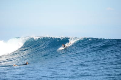 DSC_9782.JPG