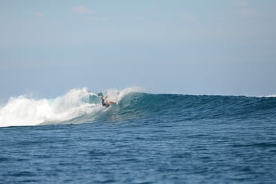DSC_9800.JPG
