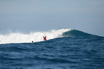 DSC_9802.JPG