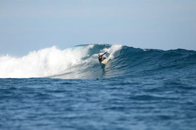 DSC_9807.JPG