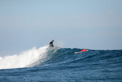 DSC_9810.JPG