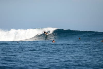DSC_9811.JPG