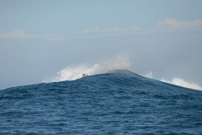 DSC_9812.JPG
