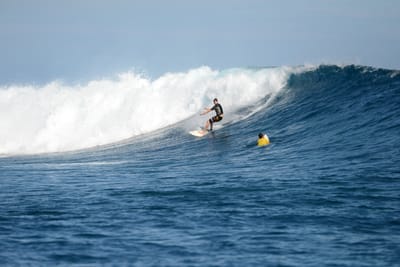 DSC_9820.JPG