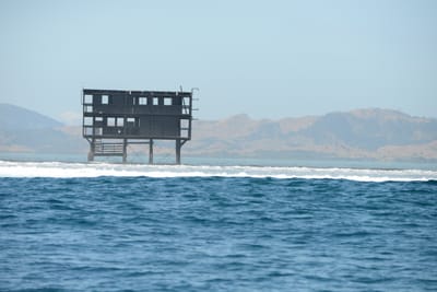 DSC_9827.JPG
