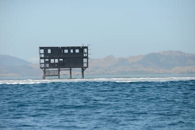 DSC_9828.JPG