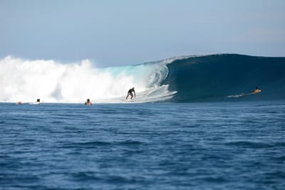 DSC_9844.JPG