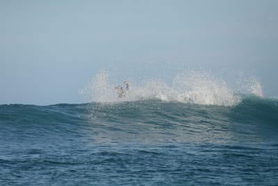 DSC_9878.JPG